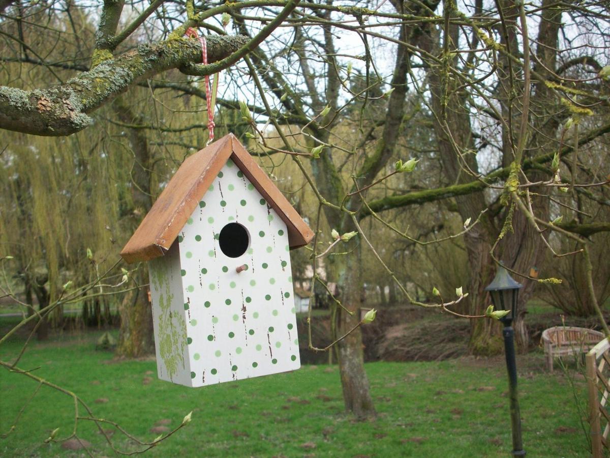 Moulin De Moxhe Micro Gite Et Gite - Bed & Dreams Екстериор снимка
